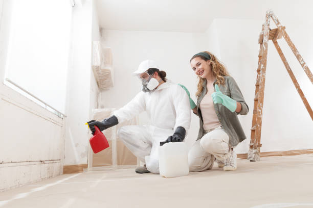 Biohazard Mold Removal in Southmont, NC